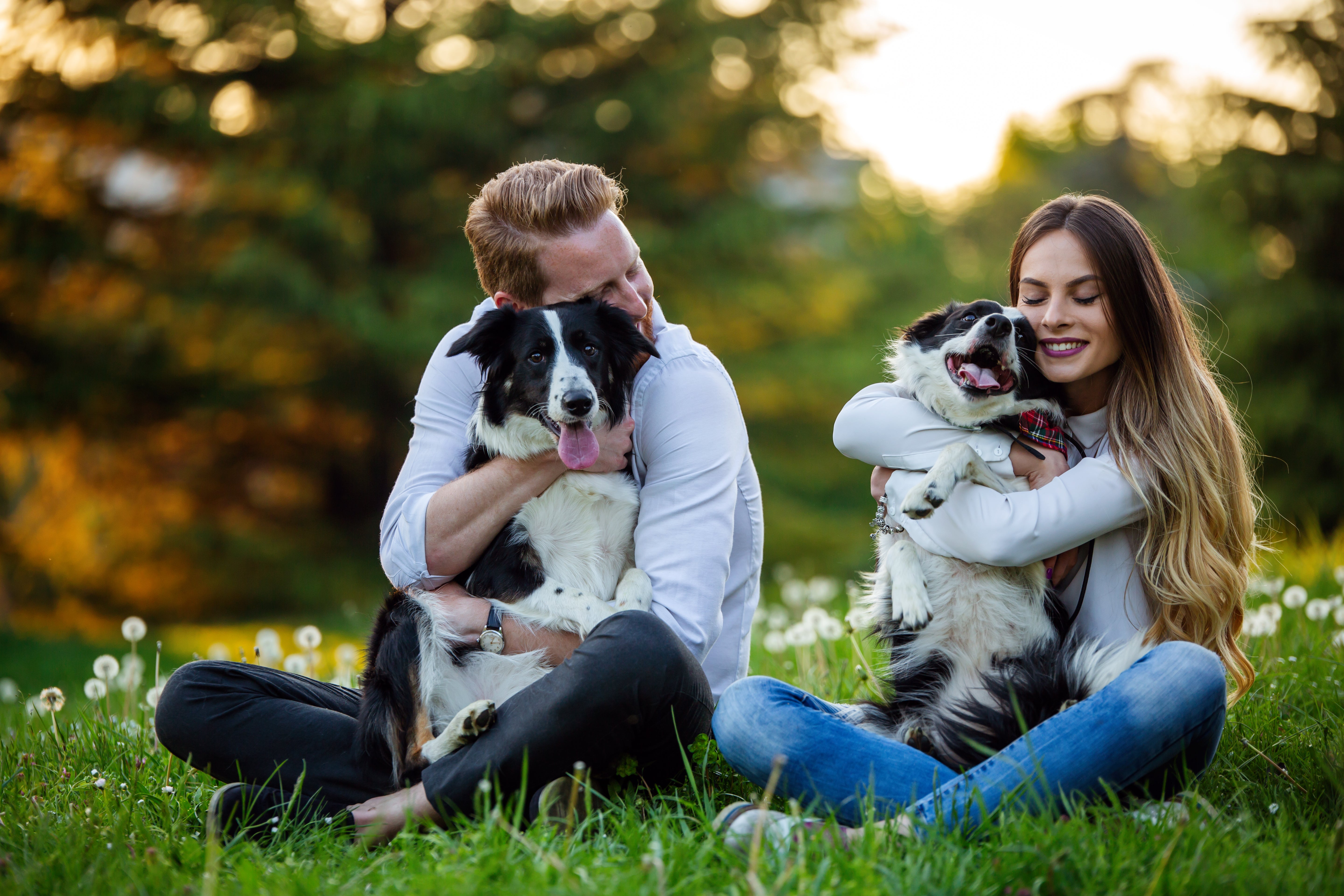 Dogs have always been our heroes. It’s time we returned the favor.