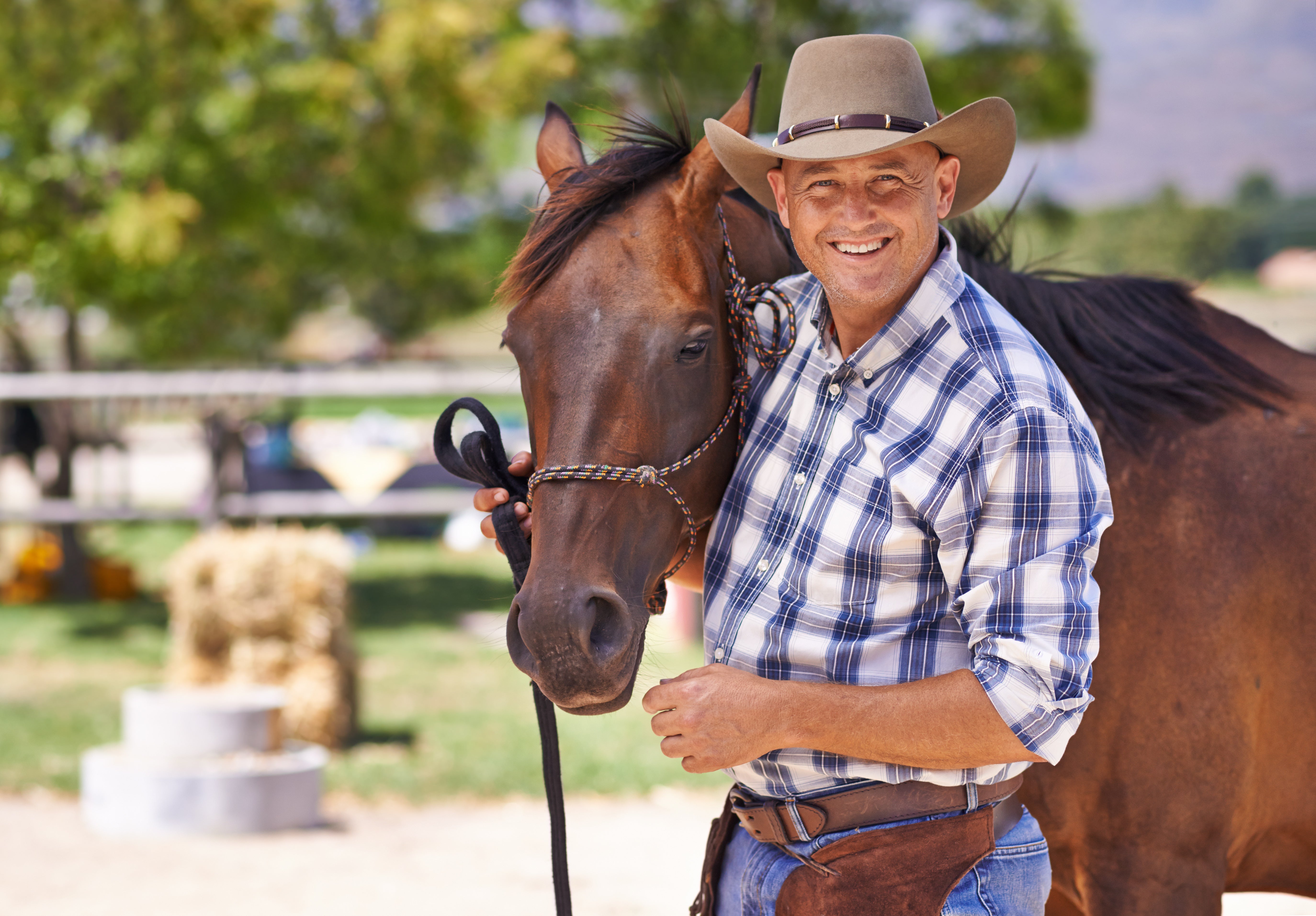 Spring Is Back — And So Are the Bugs: Your Guide to a Cleaner, Healthier Horse This Season