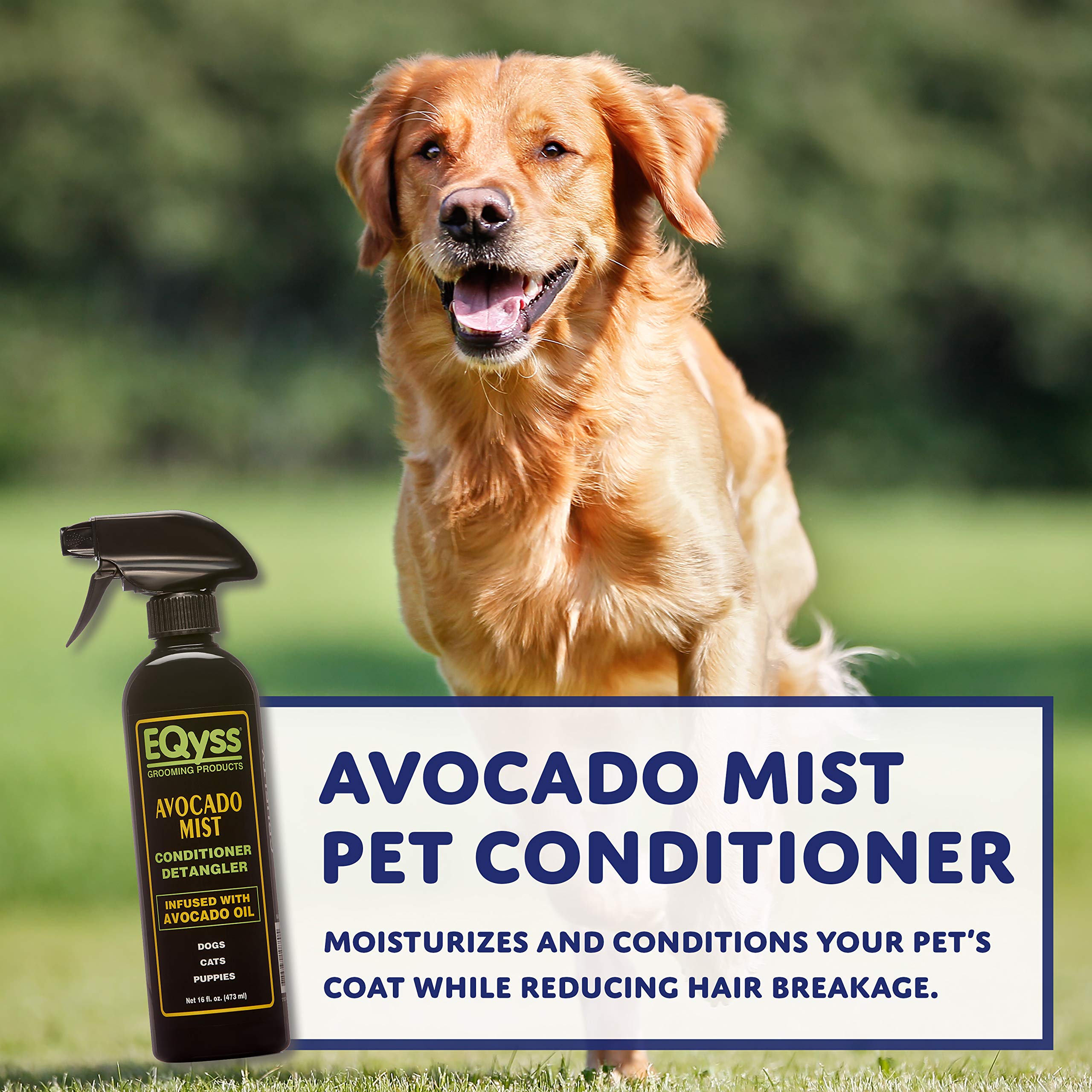 Avocado Mist Pet Conditioner