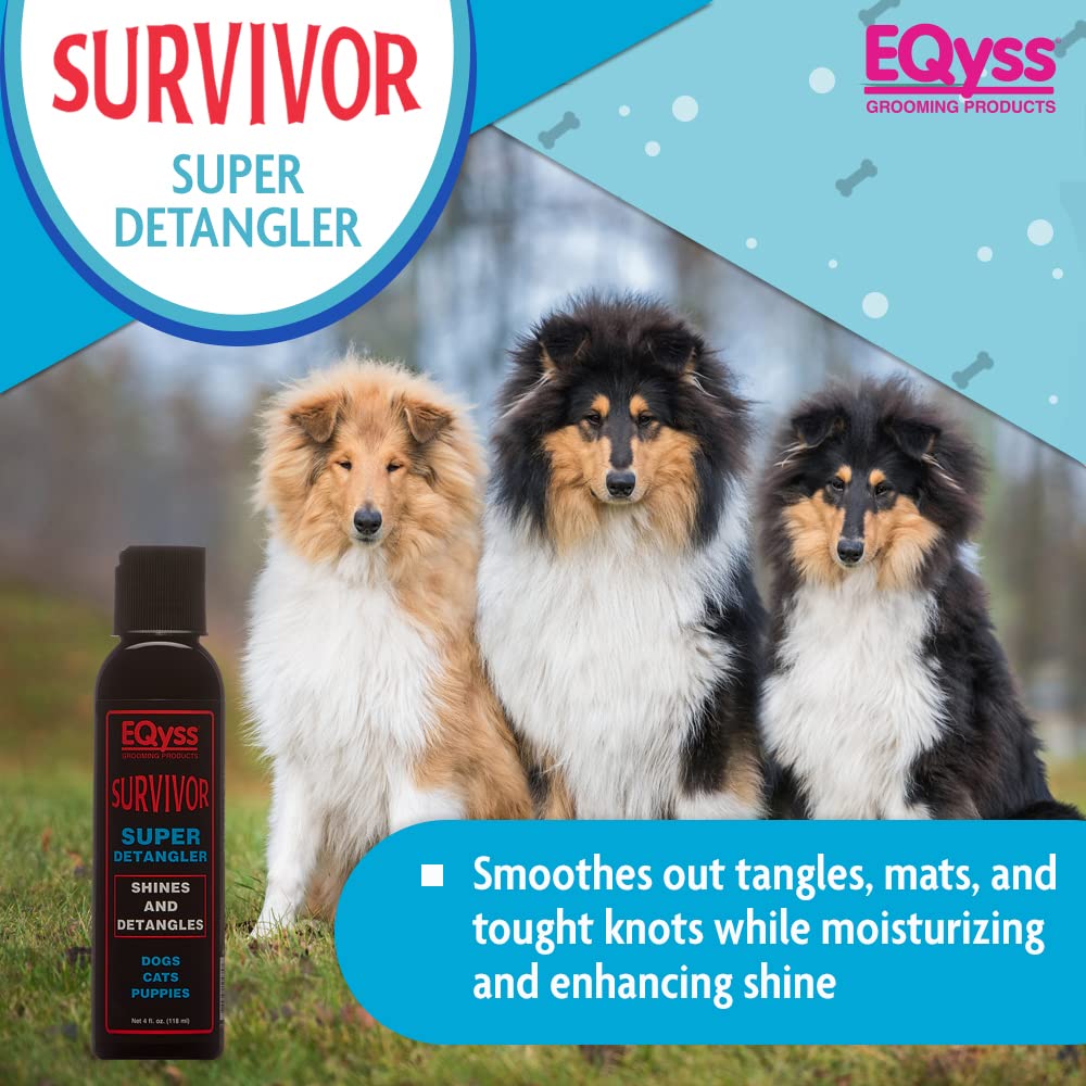 Survivor Detangler