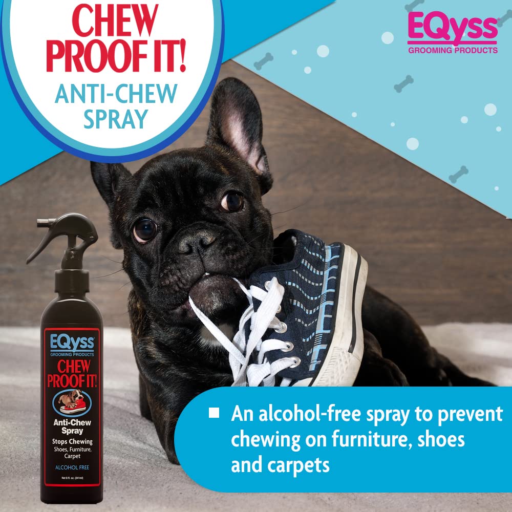 Chew Proof It!